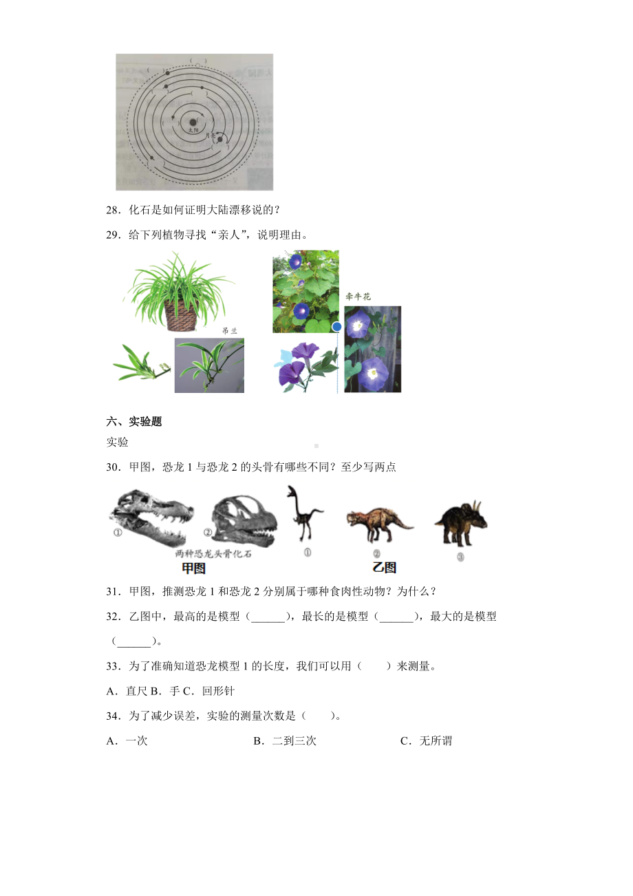 2022新苏教版六年级上册《科学》期末复习试卷（试题）(13)（含答案）.docx_第3页