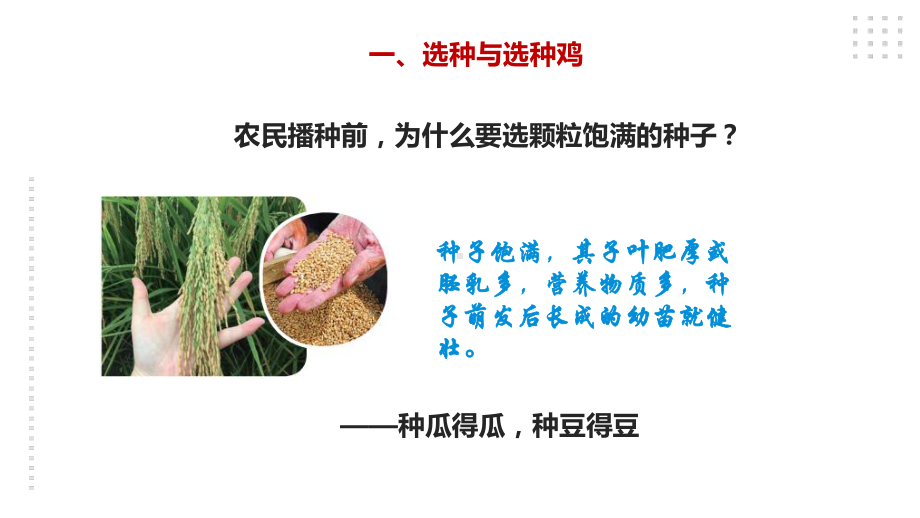 2.5《生物的遗传》ppt课件-2022新苏教版六年级上册《科学》.ppt_第3页