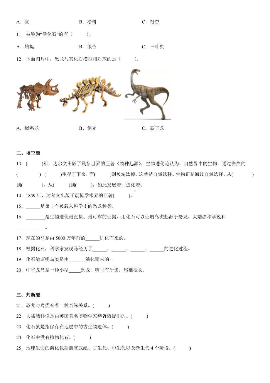 2022新苏教版六年级上册《科学》第三单元化石的奥秘（单元测试）(含答案).docx_第2页