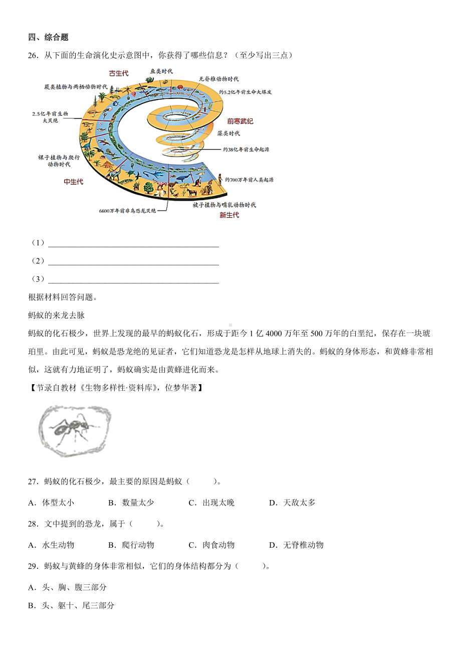 2022新苏教版六年级上册《科学》第三单元化石的奥秘（单元测试）(含答案).docx_第3页