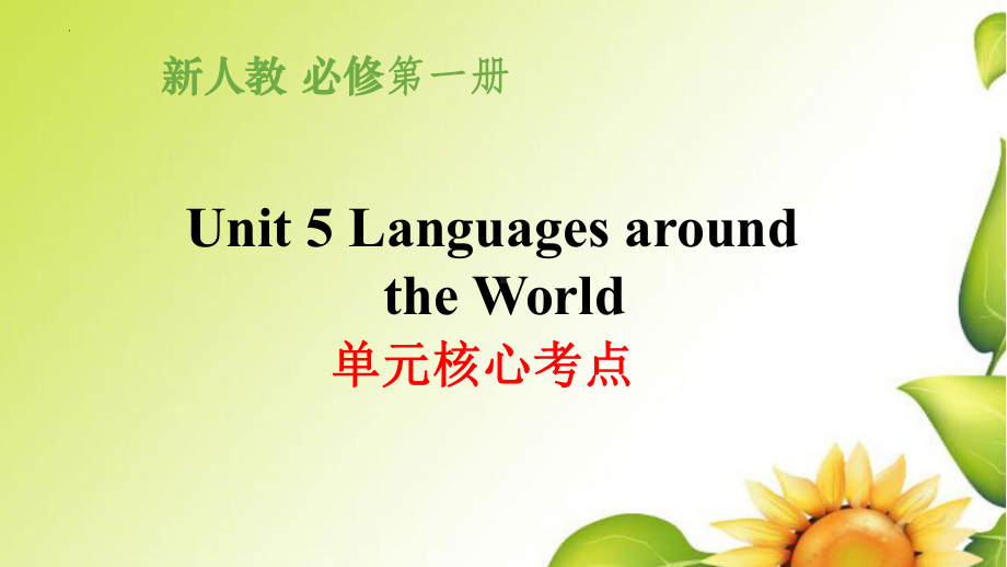 Unit 5 Languages around单元核心考点 ppt课件 -新人教版(2019新版)《高中英语》必修第一册.pptx_第1页