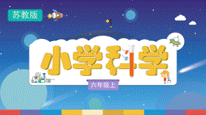 4.12《观察星空》ppt课件-2022新苏教版六年级上册《科学》.pptx