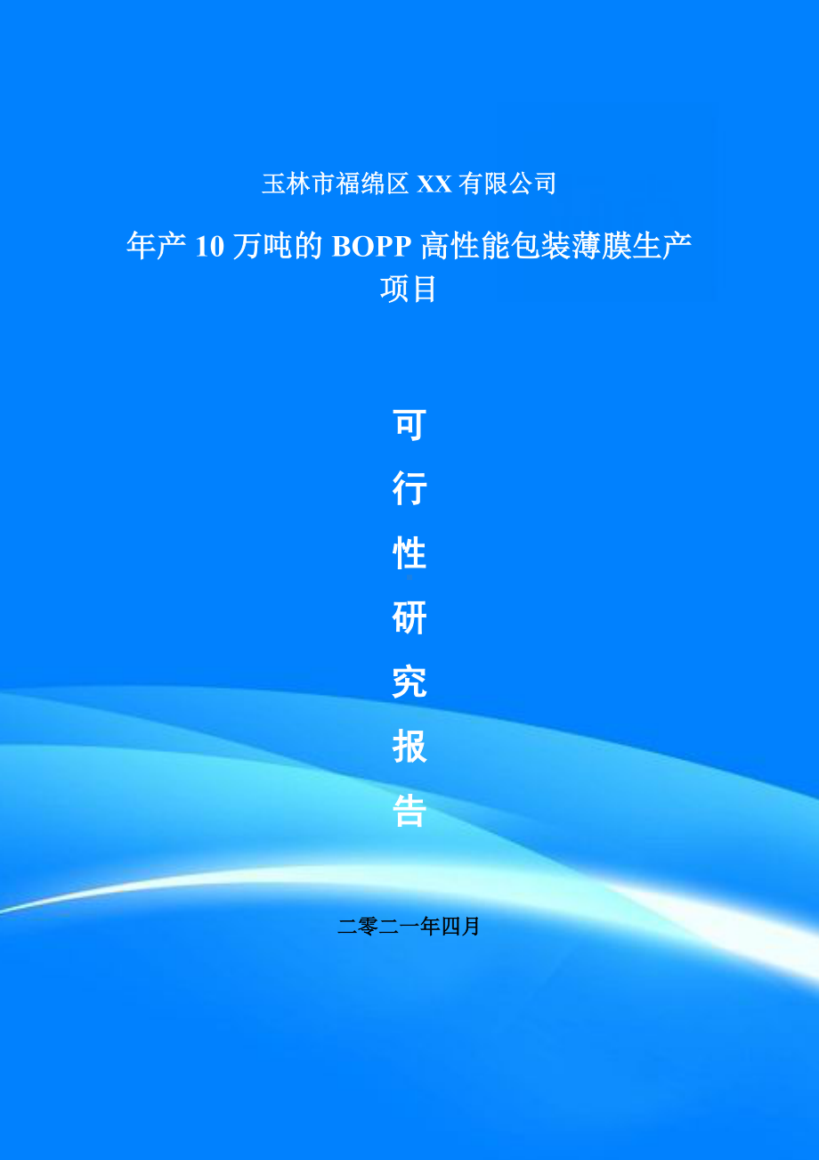 年产10万吨的BOPP高性能包装薄膜可行性研究报告建议书.doc_第1页