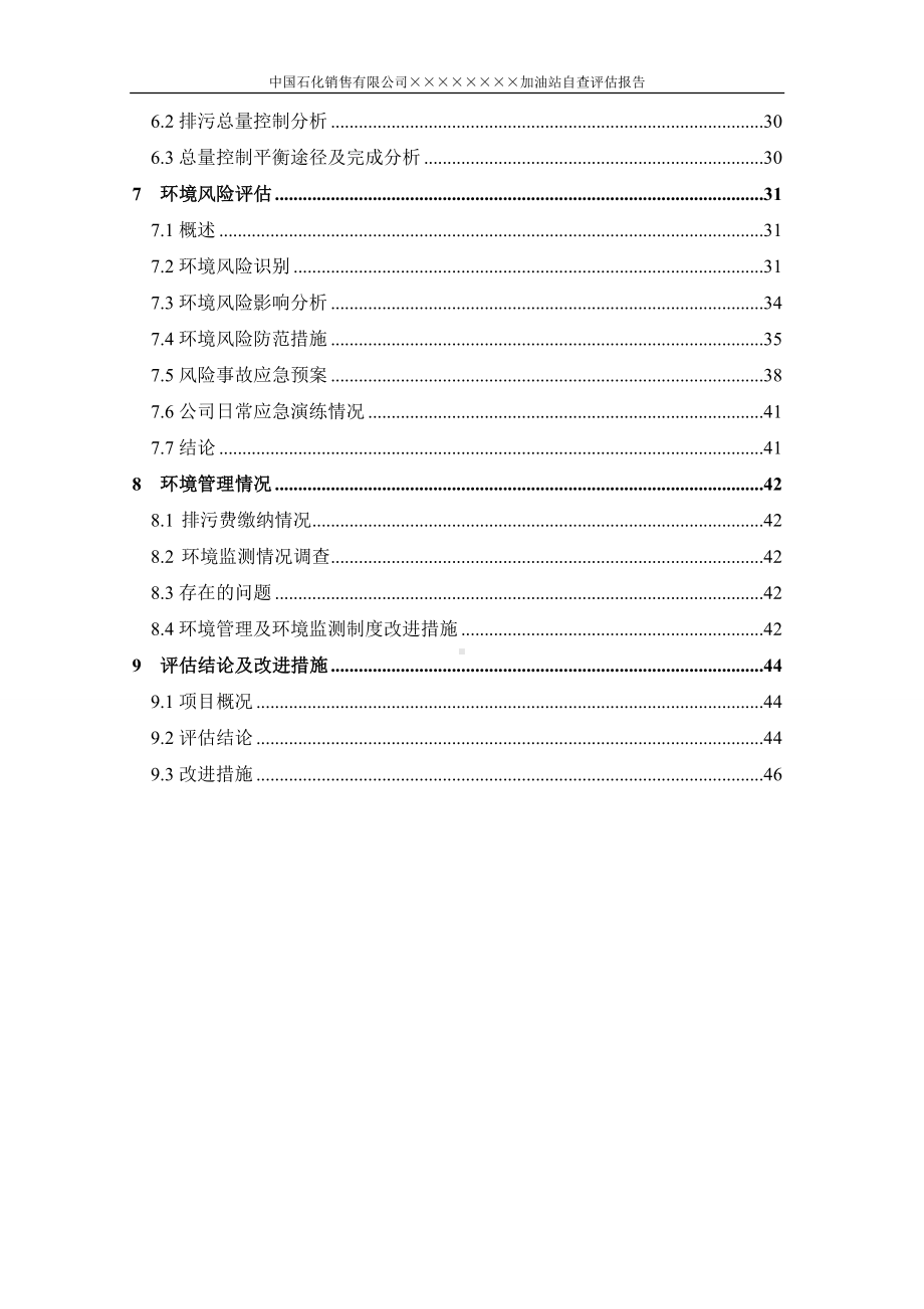 加油站自查评估报告 (参考范本).doc_第2页