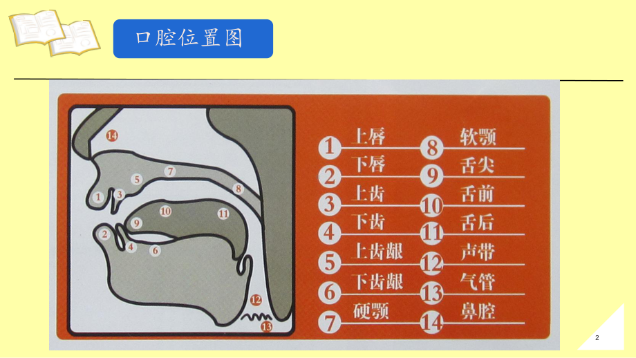 (新目标)人教版七年级英语上册人教版英语七年级上册 音标 -ppt课件-.pptx_第2页