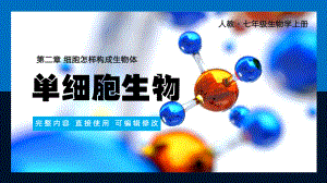 七年级上册细胞怎样构成生物体单细胞生物PPT课件.pptx