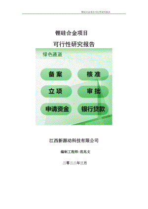 锂硅合金项目可行性研究报告-申请建议书用可修改样本.doc