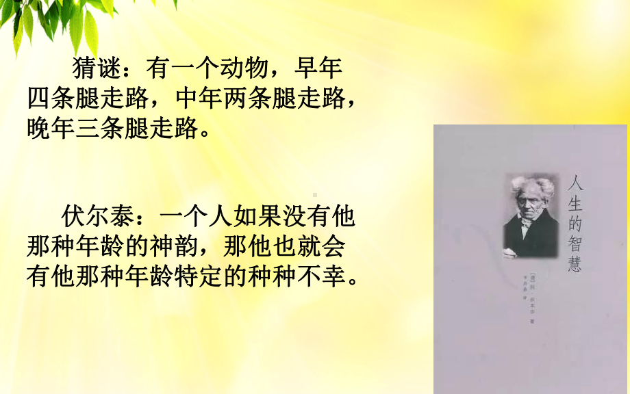 发展心理学学习培训课件.ppt_第2页