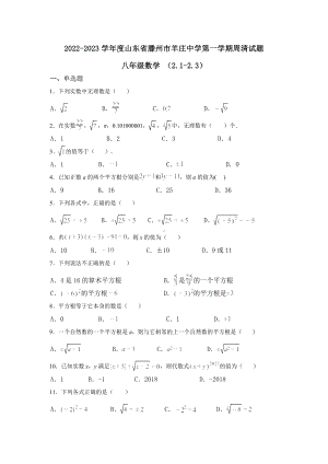 山东省枣庄市滕州市羊庄 2022-2023学年八年级上学期周清试题 数学.docx