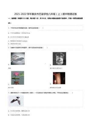 2021-2022学年重庆市巴渝 八年级（上）期中物理试卷.docx