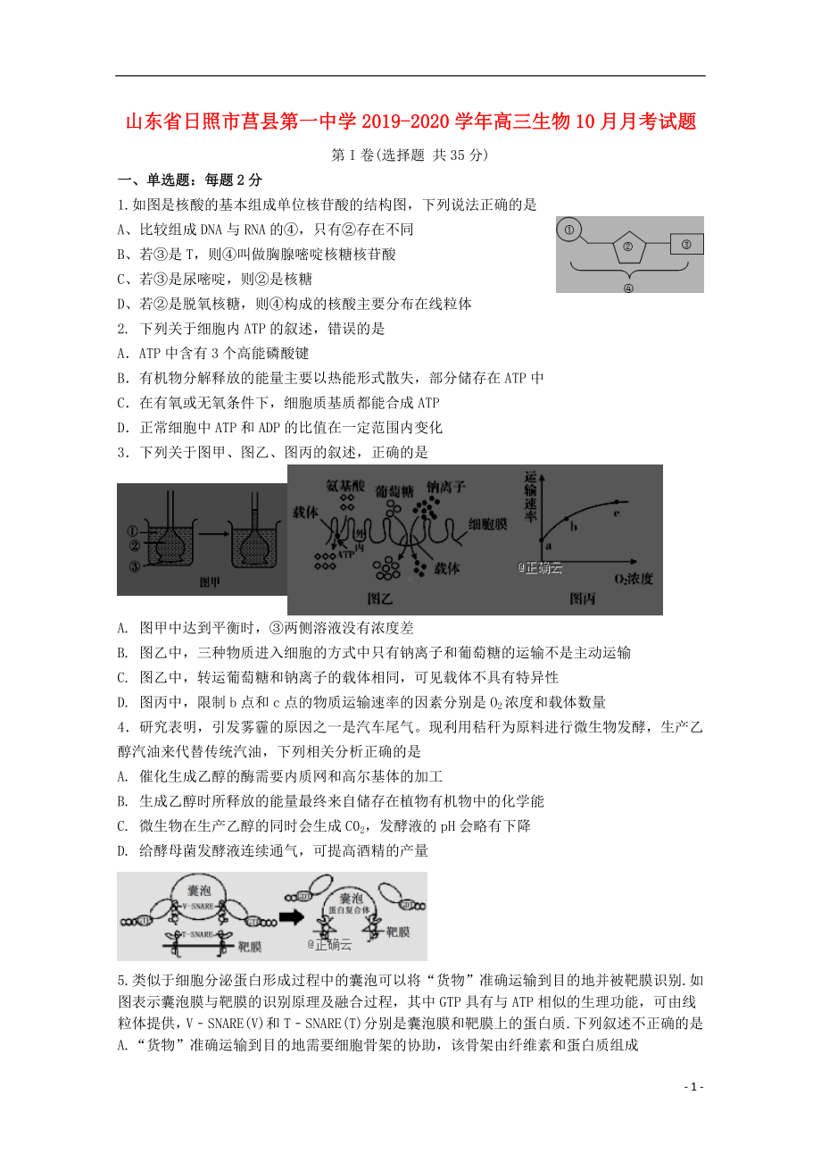 山东省日照市莒县第一中学2019-2020学年高三生物10月月考试题.doc_第1页