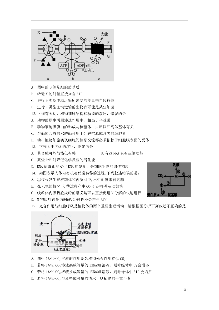 山东省日照市莒县第一中学2019-2020学年高三生物10月月考试题.doc_第3页