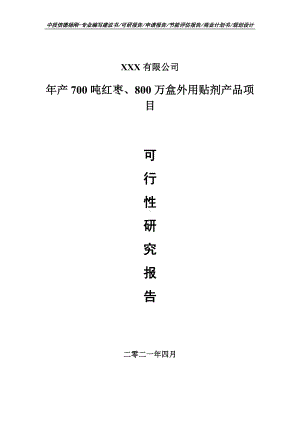 年产700吨红枣、800万盒外用贴剂产品可行性研究报告备案申请.doc