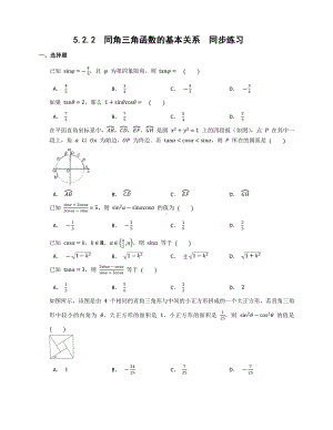 5.2.2 同角三角函数的基本关系 同步练习-2022新人教A版（2019）《高中数学》必修第一册.docx