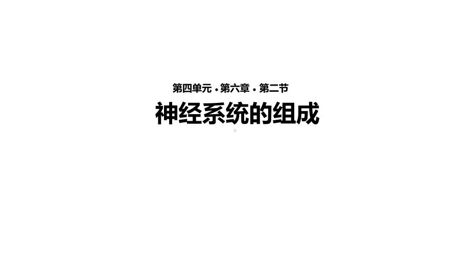 （教学课件）《神经系统的组成》(人教).ppt_第1页