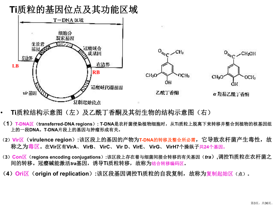 一节根癌农杆菌Ti质粒教学课件.ppt_第3页