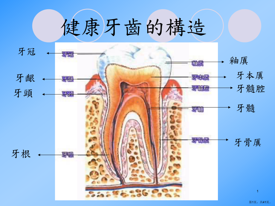 （健康知识）常见的口腔保健问题课件.ppt_第1页