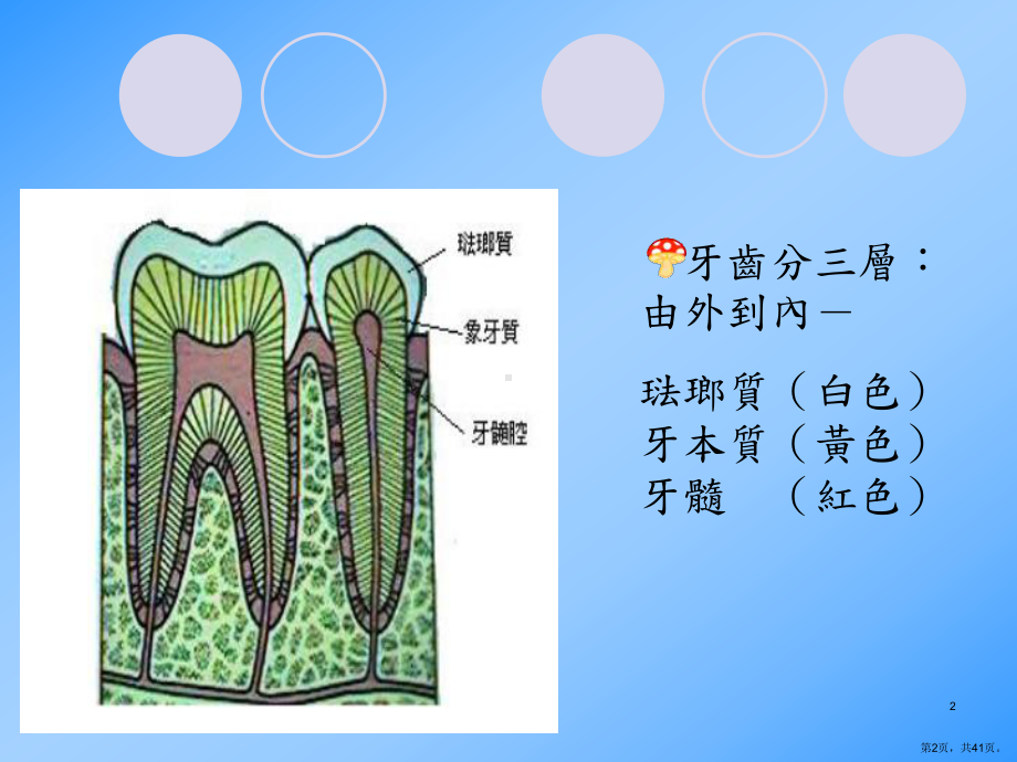 （健康知识）常见的口腔保健问题课件.ppt_第2页