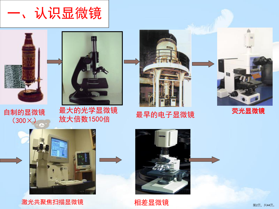 《探索生命的器具》教学ppt课件(356).pptx_第2页