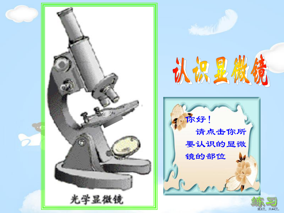 《探索生命的器具》教学ppt课件(356).pptx_第3页