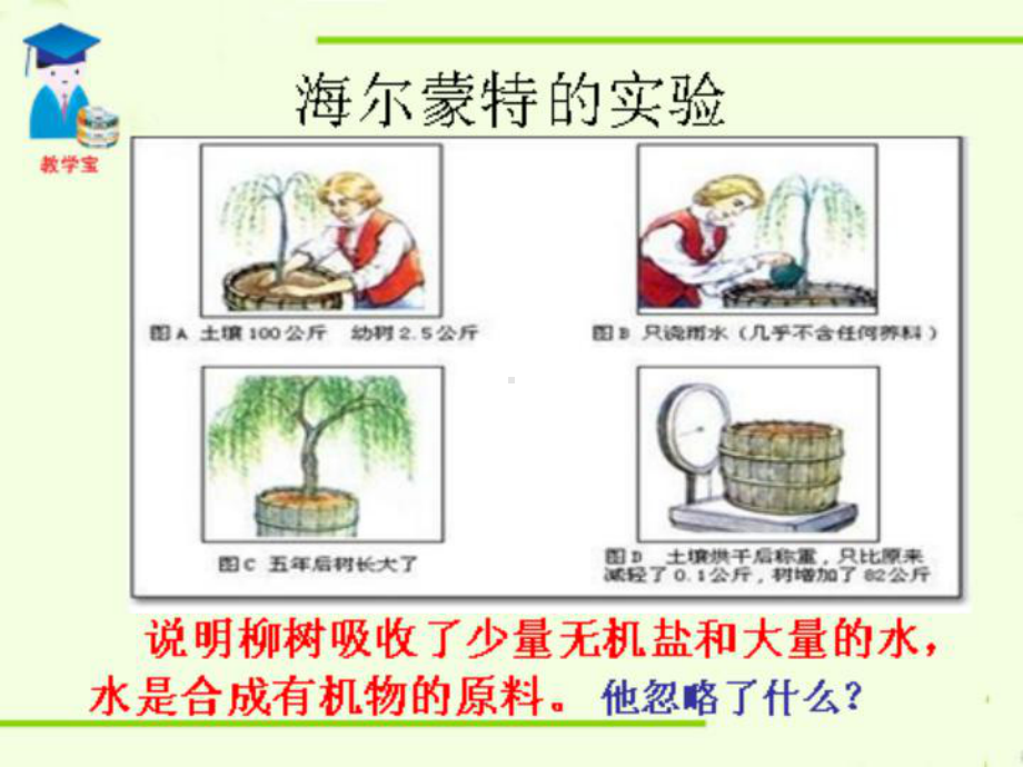 一节光合作用吸收二氧化碳释放氧气.ppt_第3页