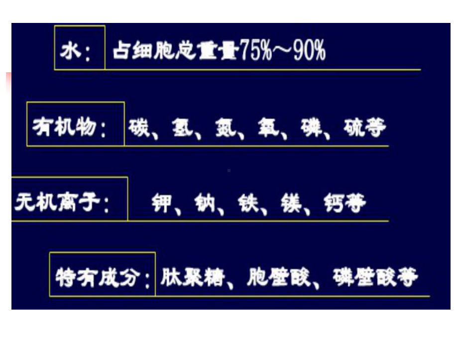 一节细菌的生长繁殖与代谢CYPPT文档资料.ppt_第3页