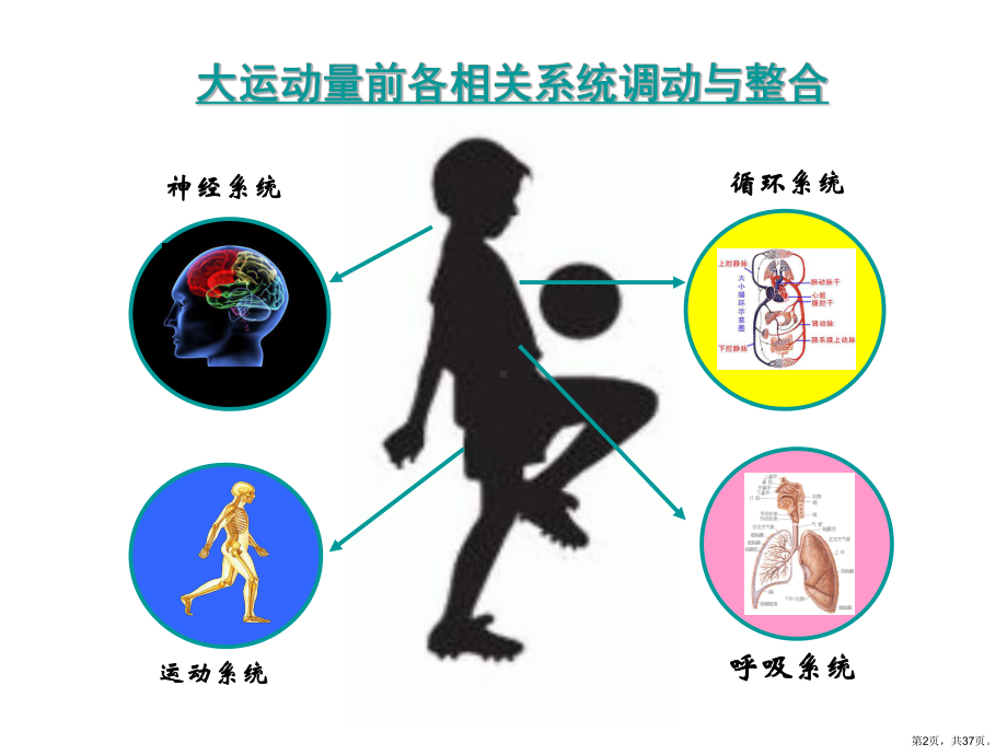 （幼儿园）幼儿体育活动培训课件.ppt_第2页