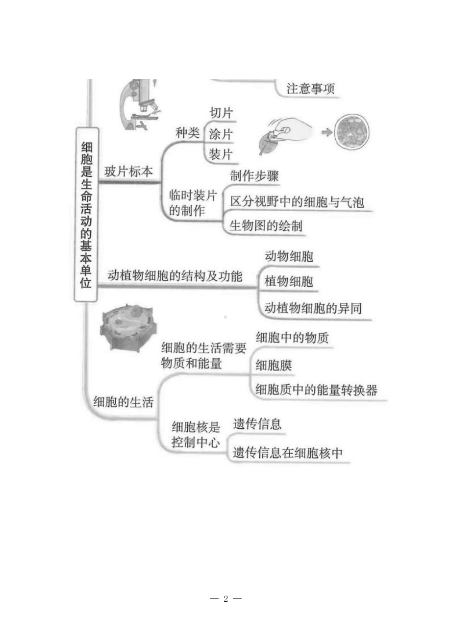 [信息技术2.0微能力]：中学七年级生物上（第二单元）-中小学作业设计大赛获奖优秀作品[模板]-《义务教育生物课程标准（2022年版）》.docx_第3页