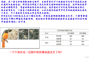 （人教版）种群基因组成的变化与物种的形成1课件.ppt