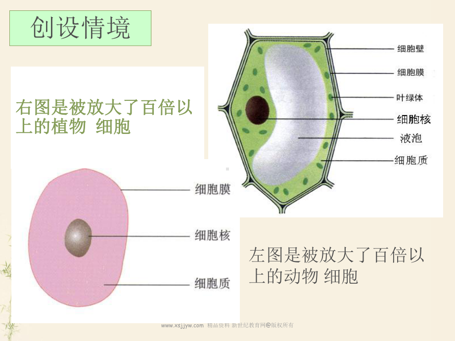 一节-练习使用显微镜课件(共37张PPT).ppt_第2页