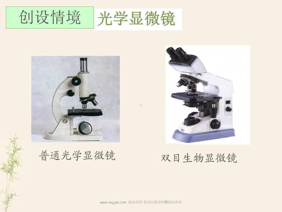 一节-练习使用显微镜课件(共37张PPT).ppt_第3页