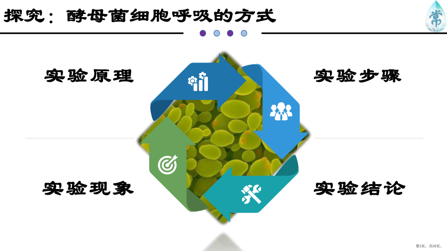 （人教版）细胞呼吸的原理和应用教学全解2课件.pptx_第3页