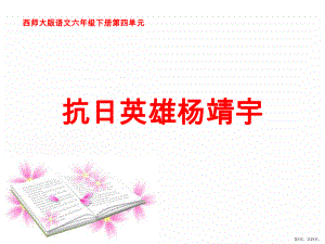 《抗日英雄杨靖宇》教学ppt课件(共20张)(29).ppt