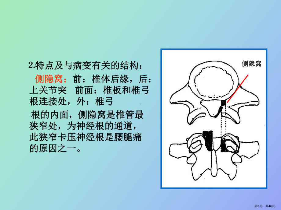 （教学课件）腰部保健预防.ppt_第3页