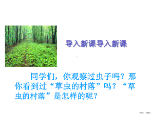 《草虫的村落》教学ppt课件(290).ppt