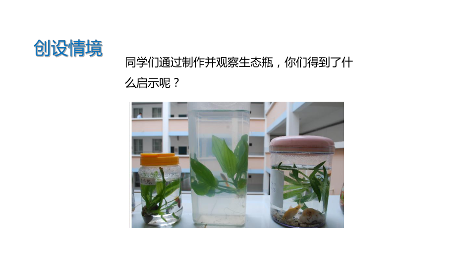 （教学课件）《生态系统的稳定性》(北师大).ppt_第2页