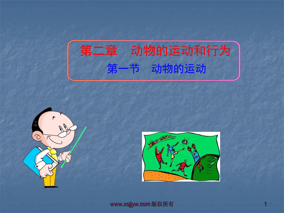 一节动物的运动课件d.ppt_第1页