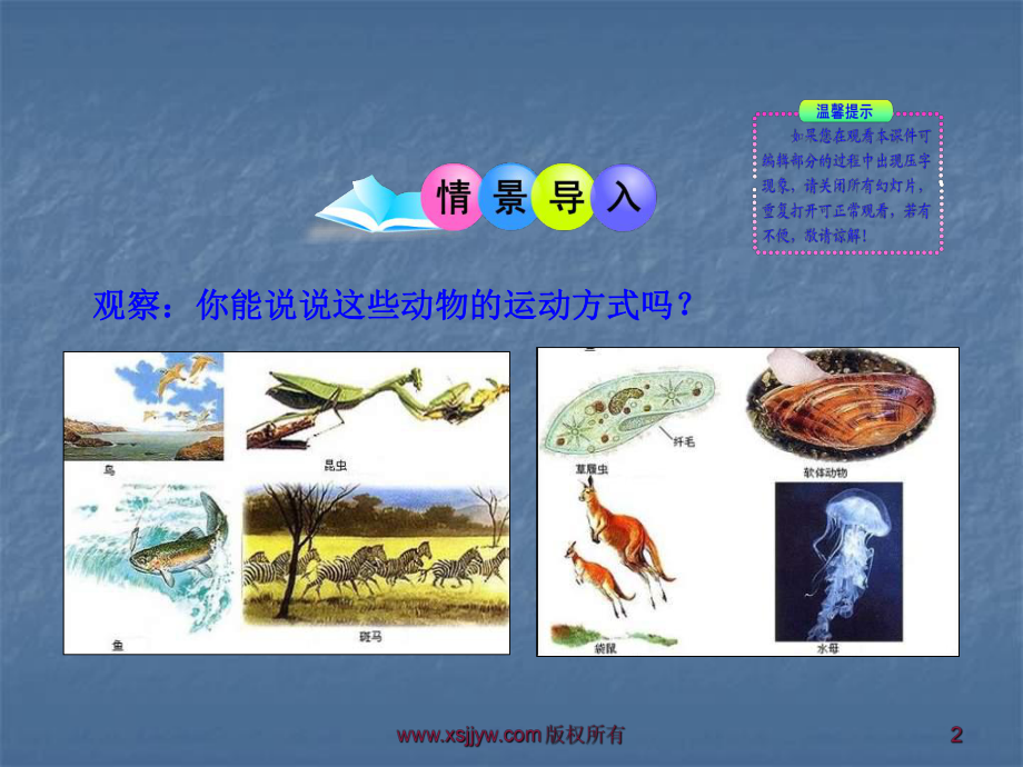 一节动物的运动课件d.ppt_第2页