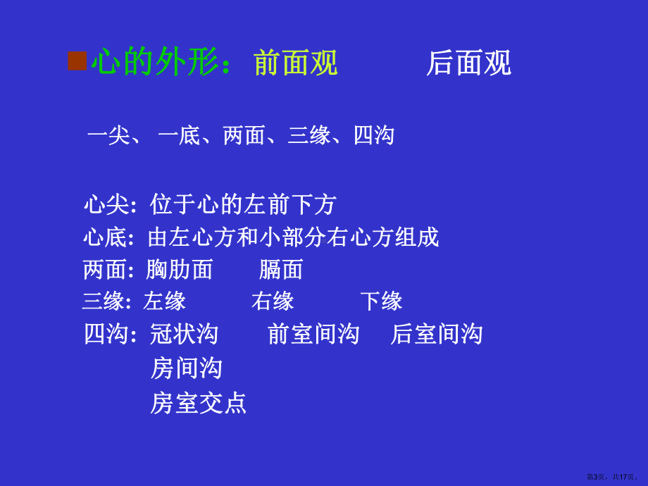 《心血管系统》教学ppt课件(205).ppt_第3页