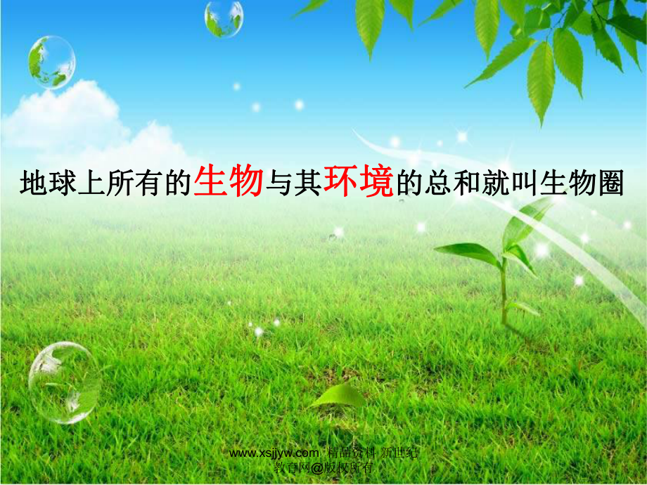 一节生物与环境的关系课件(88ppt).ppt_第2页