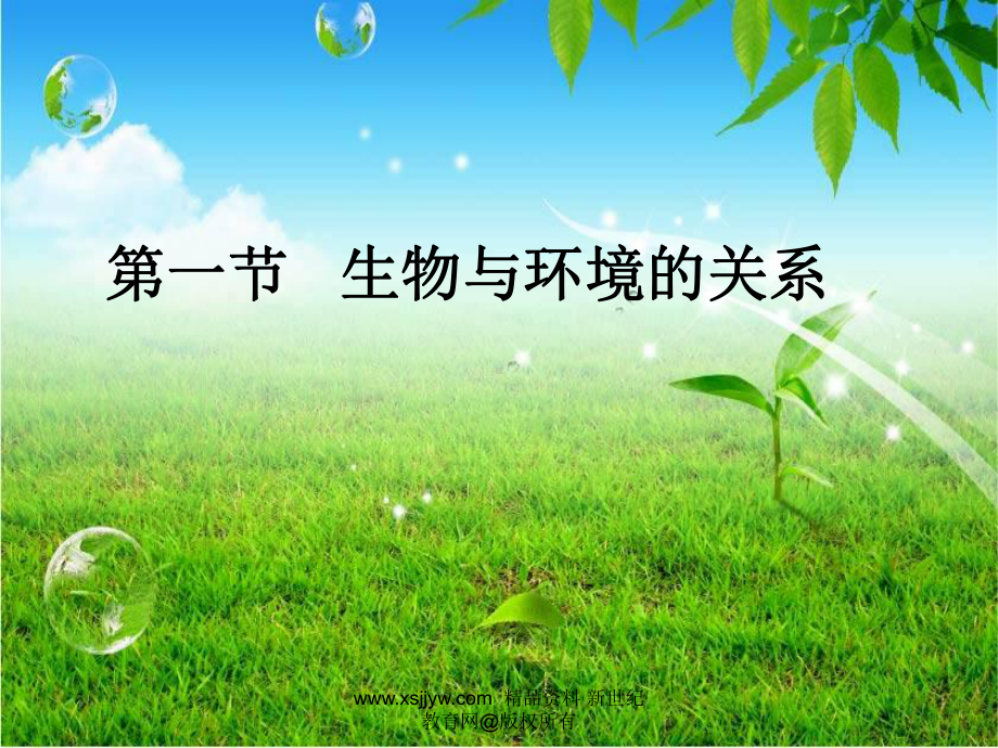 一节生物与环境的关系课件(88ppt).ppt_第3页