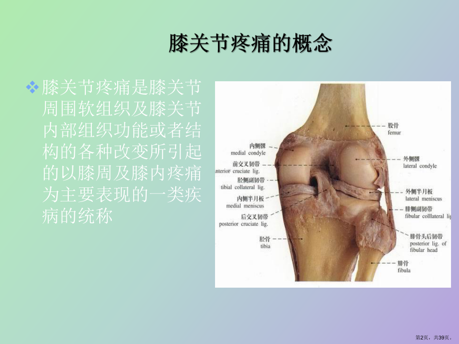 （教学课件）膝关节疼痛的诊疗.ppt_第2页