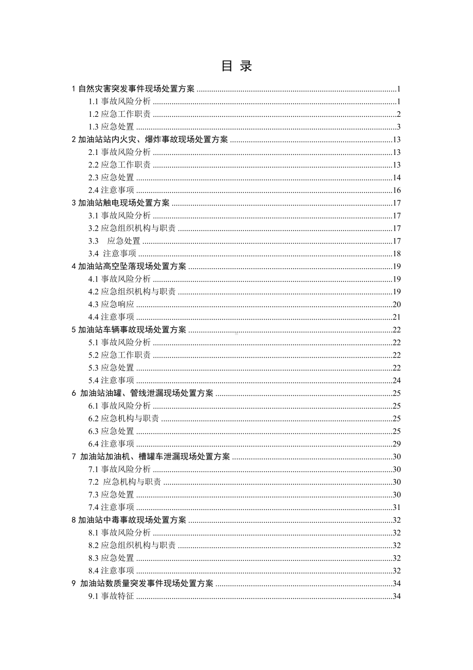 加油站现场处置方案(全套参考范本).doc_第2页