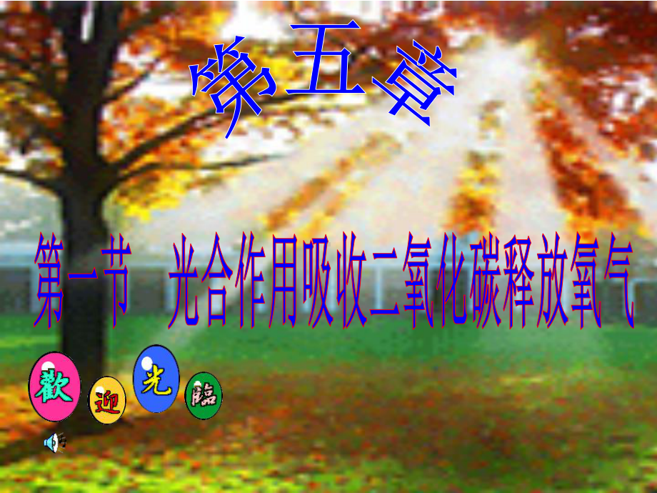 一节光合作用吸收二氧化碳释放氧气.ppt.ppt_第2页