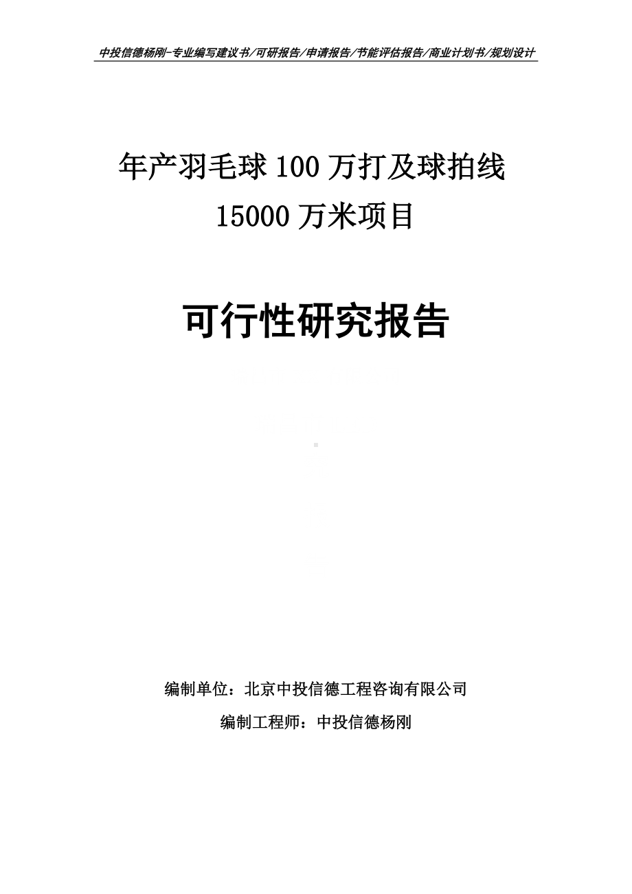 年产羽毛球100万打及球拍线15000万米可行性研究报告.doc_第1页