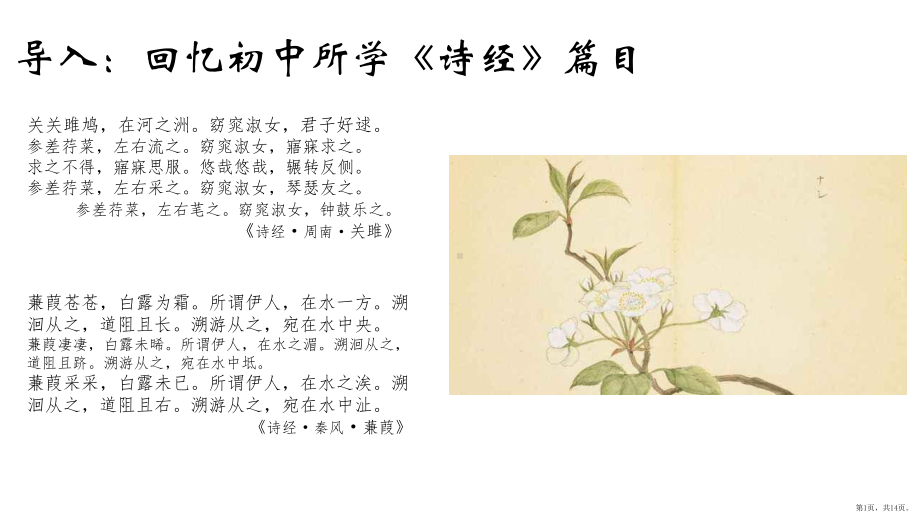 （统编版）芣苢教学课件.pptx_第1页