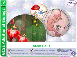 StemCellsThomasAStewartSecondarySchool：干细胞ppt课件.ppt