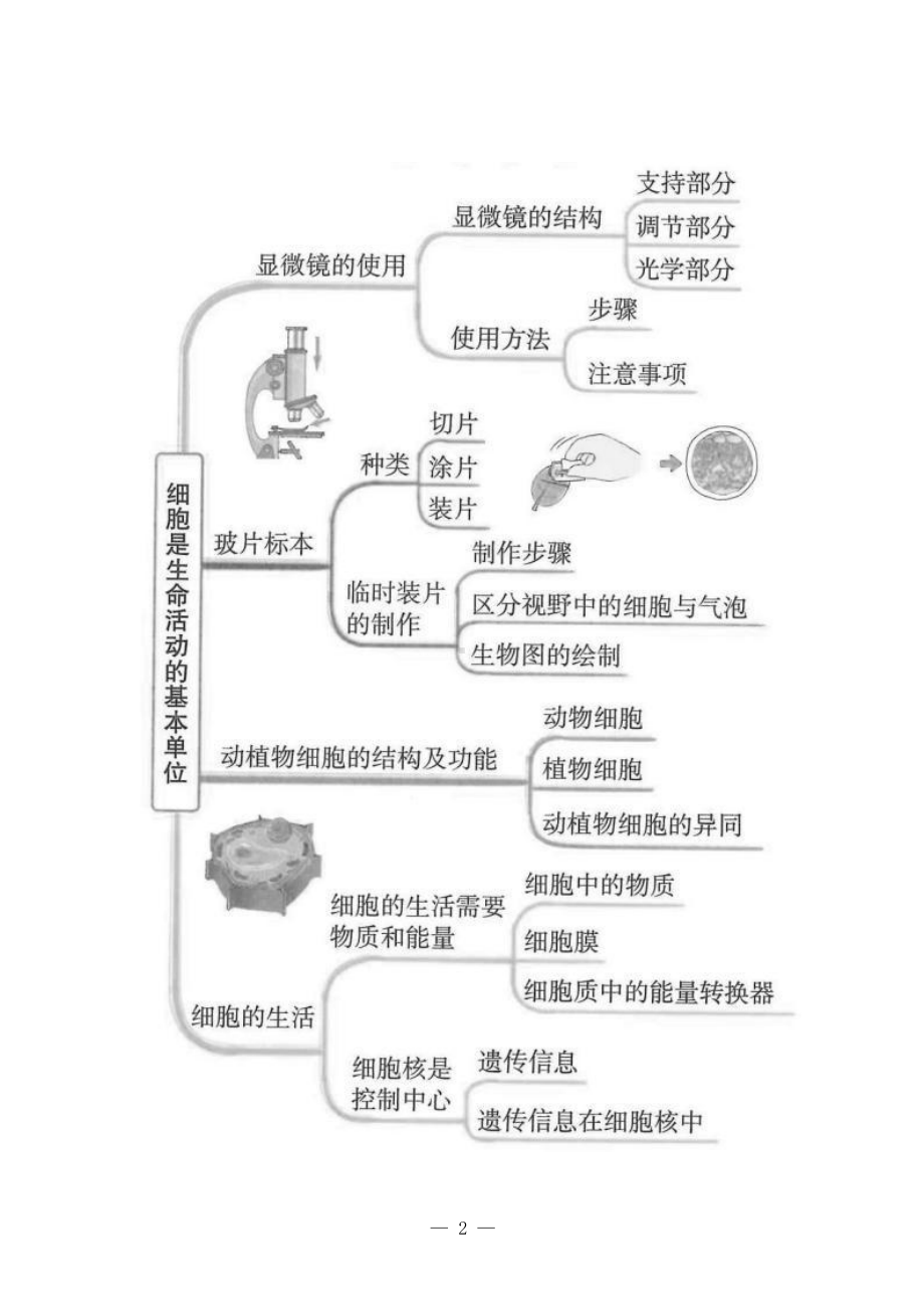 [信息技术2.0微能力]：中学七年级生物上（第二单元）-中小学作业设计大赛获奖优秀作品[模板]-《义务教育生物课程标准（2022年版）》.pdf_第3页