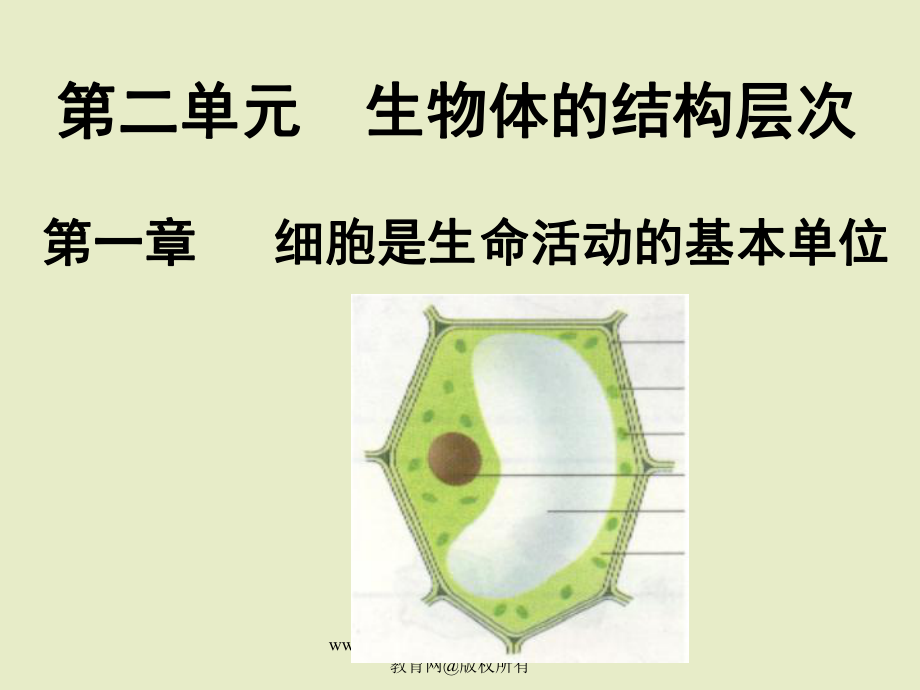 一节练习使用显微镜.ppt_第1页