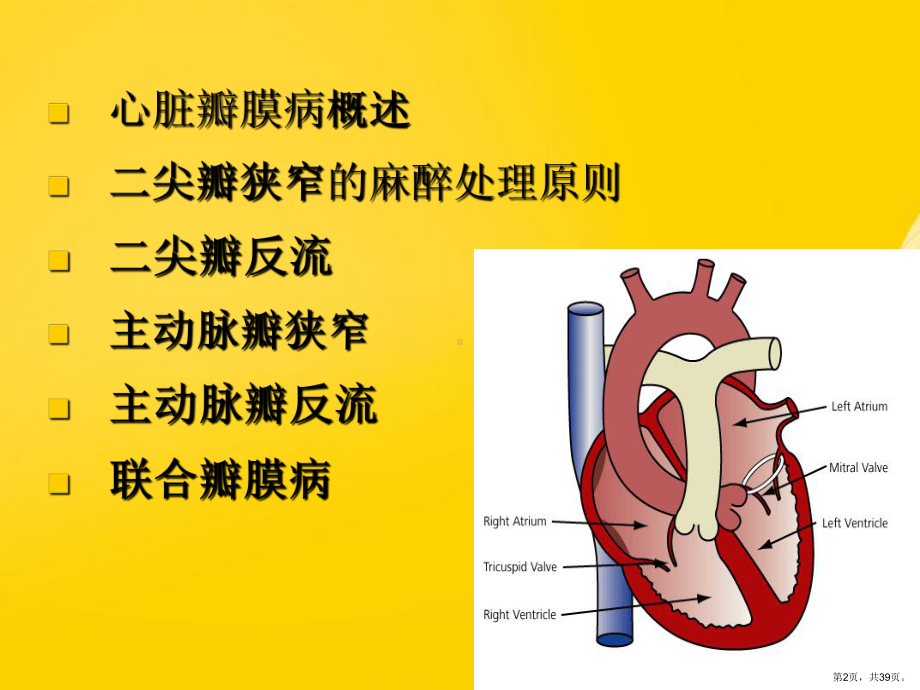 （优秀）心脏瓣膜病人手术的麻醉课件.ppt_第2页